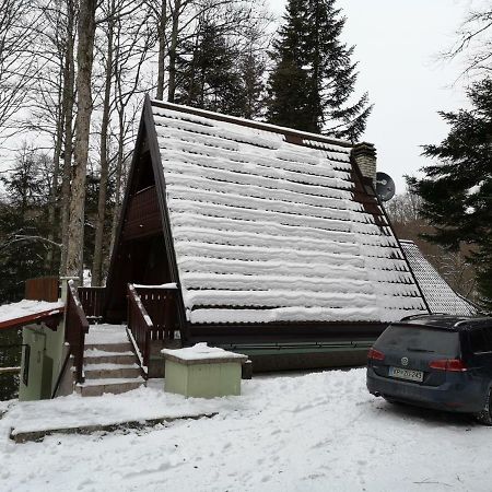Koca Planika, Sviscaki Villa Ilirska Bistrica Eksteriør billede