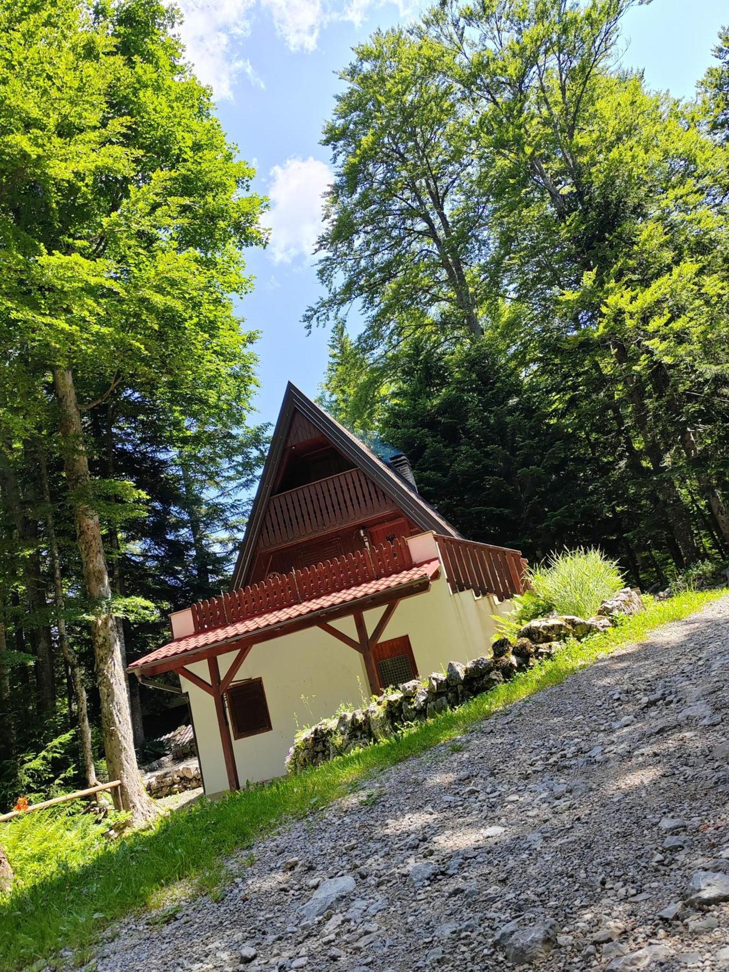 Koca Planika, Sviscaki Villa Ilirska Bistrica Eksteriør billede