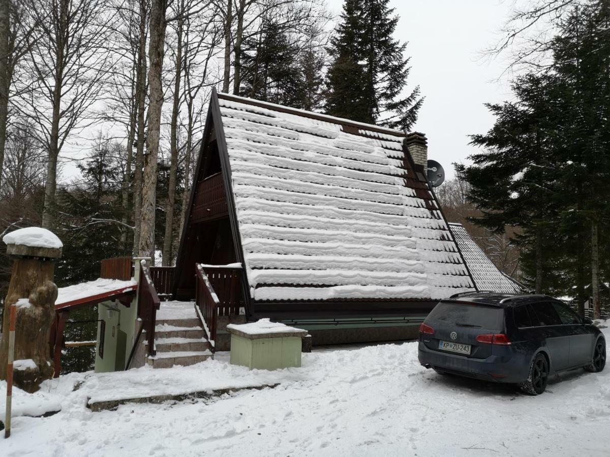 Koca Planika, Sviscaki Villa Ilirska Bistrica Eksteriør billede